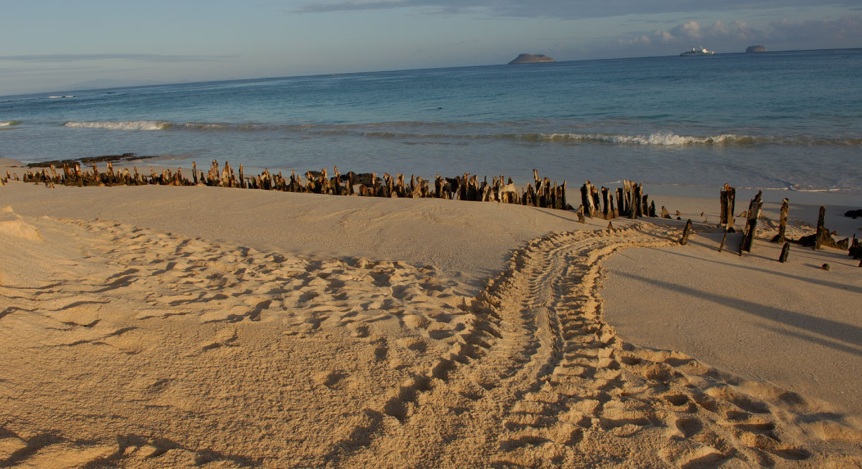 Bachas Beach - Santa Cruz in Galapagos Island beautiful white sand beach in the sunset