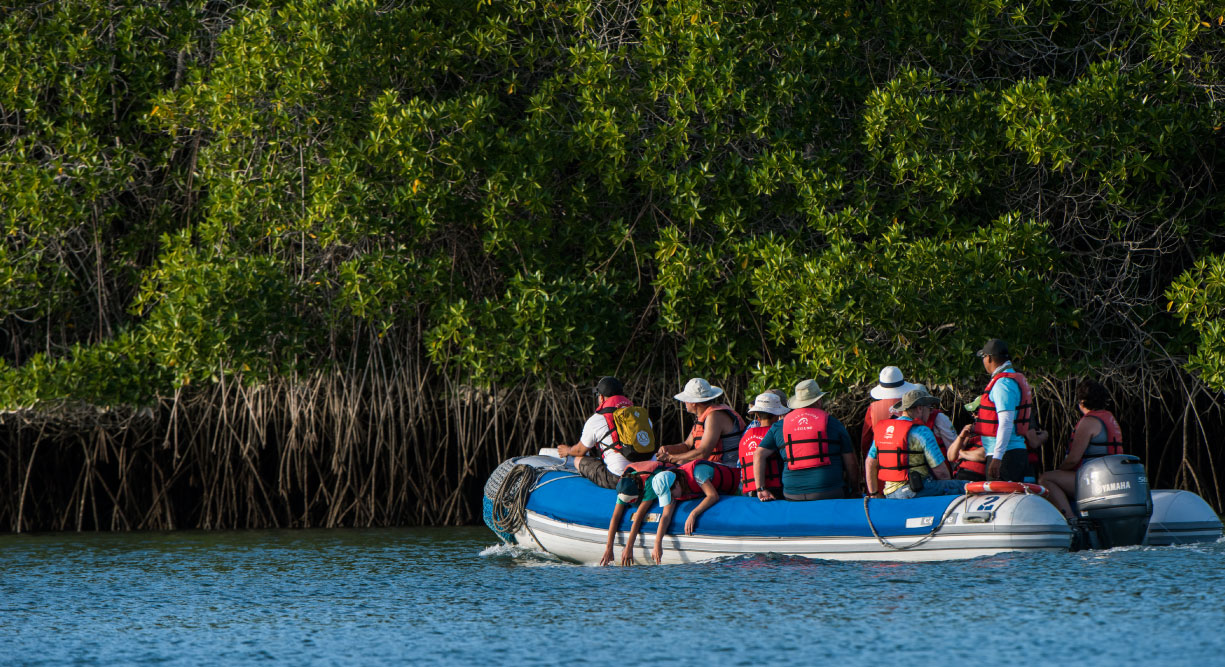 Black Turtle Cove - Santa Cruz in the Galapagos view of mangrove and tourist in panga with a experienced guide