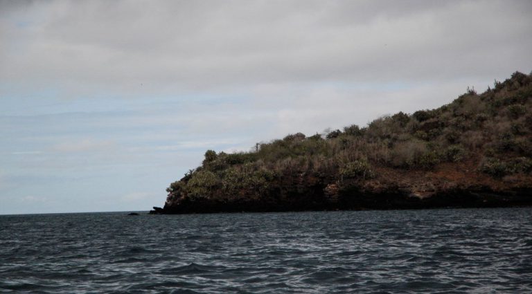 Champion - Floreana in Galapagos islands, landscape view with the sea at the horizon