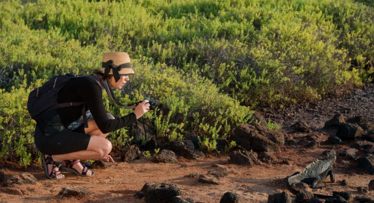 Dragon Hill - Santa Cruz in the Galapagos, tourist taking a picture of a land iguana