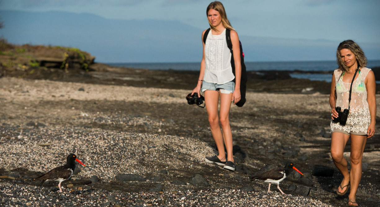 Egas Port in Santiago Island wit rocky beach and tourist looking lava heron