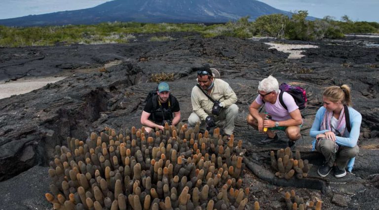 Espinoza Point IN GALAPAGOS ISLAND volcanic island with tourist seeing the lava cactus