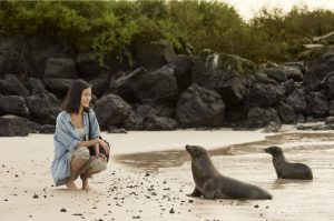 Tourist experience, watching the sea lions in the beach