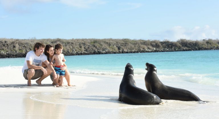 Gardner Bay - Española in the Galapagos Islands white sand beach with sea lion and tourist experience