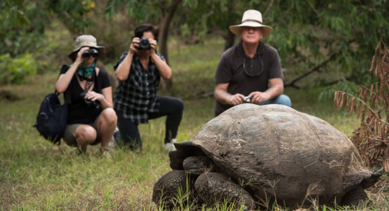 Highlands - Santa Cruz in Galapagos with tourist taking a picture of a giant tortoise