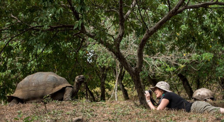 Highlands - Santa Cruz in Galapagos with lying tourist taking a picture of a giant tortoise