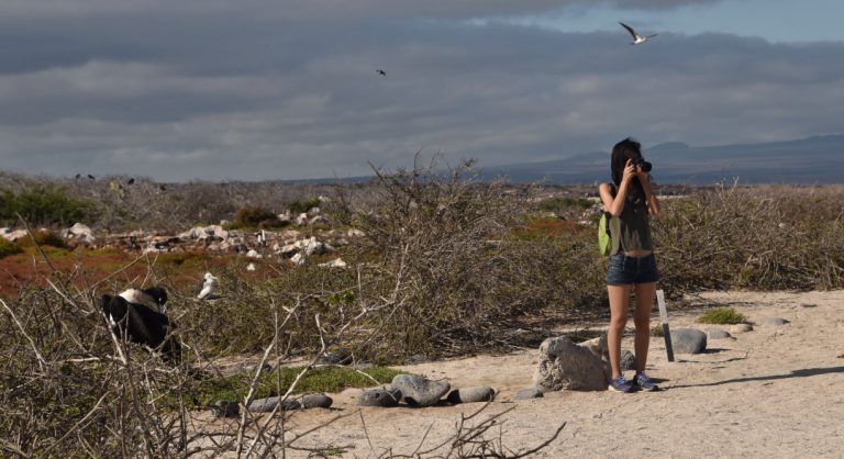 North Seymour in Galapagos Islands with tourist taking a picture and frigates