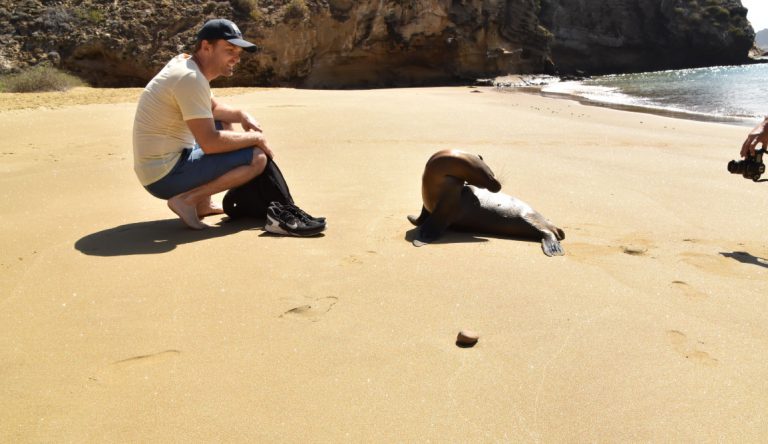 Pitt Point - San Cristobal in Galapagos Islands, tourist interacting with a sea lion in golden sand beach