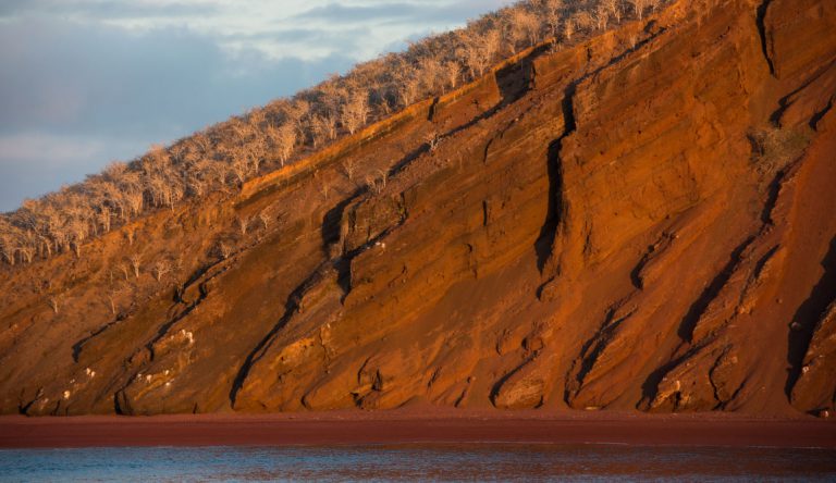 Rabida in Galapagos Islands, view of the red sand
