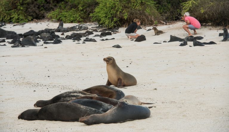 Santa Fe in Galapagos Island with white sand beach and sea lions