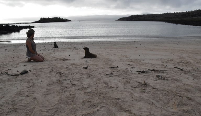 Santa Fe in Galapagos Island with Tourist looking a sea lion on the beach