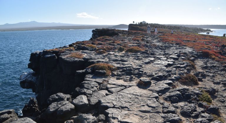 South Plaza in the Galapagos island landscape view