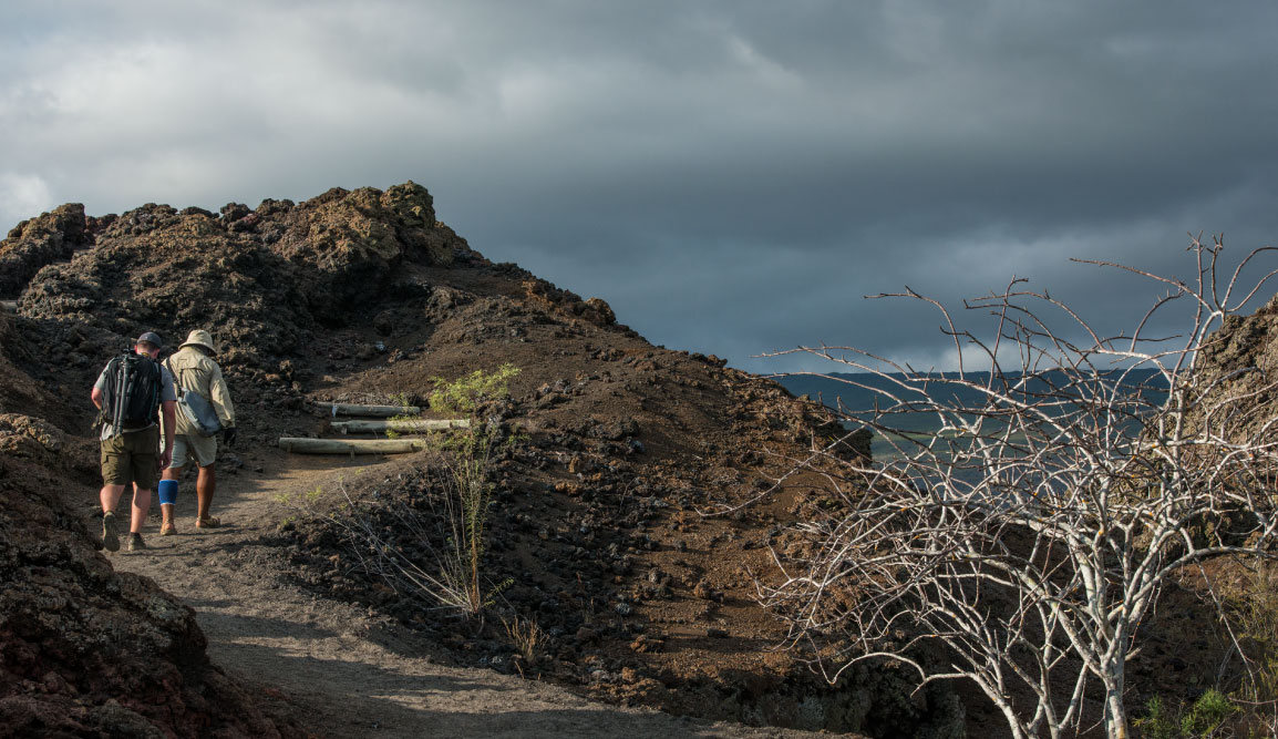 Tagus Cove - Isabela in the Galapagos Islands, tourist hiking with a experienced guide