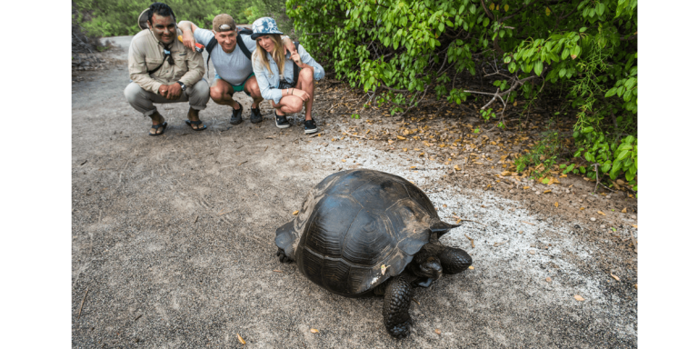 Guide and tourists watching a giant tortoise in Galapagos Islands