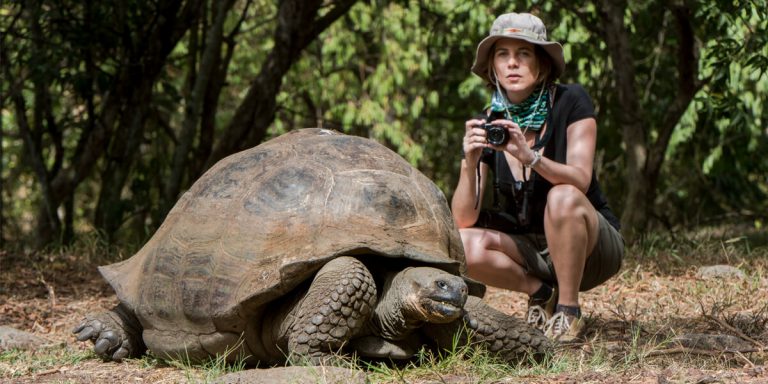 Tourist taking a picture of a Giant Tortoise