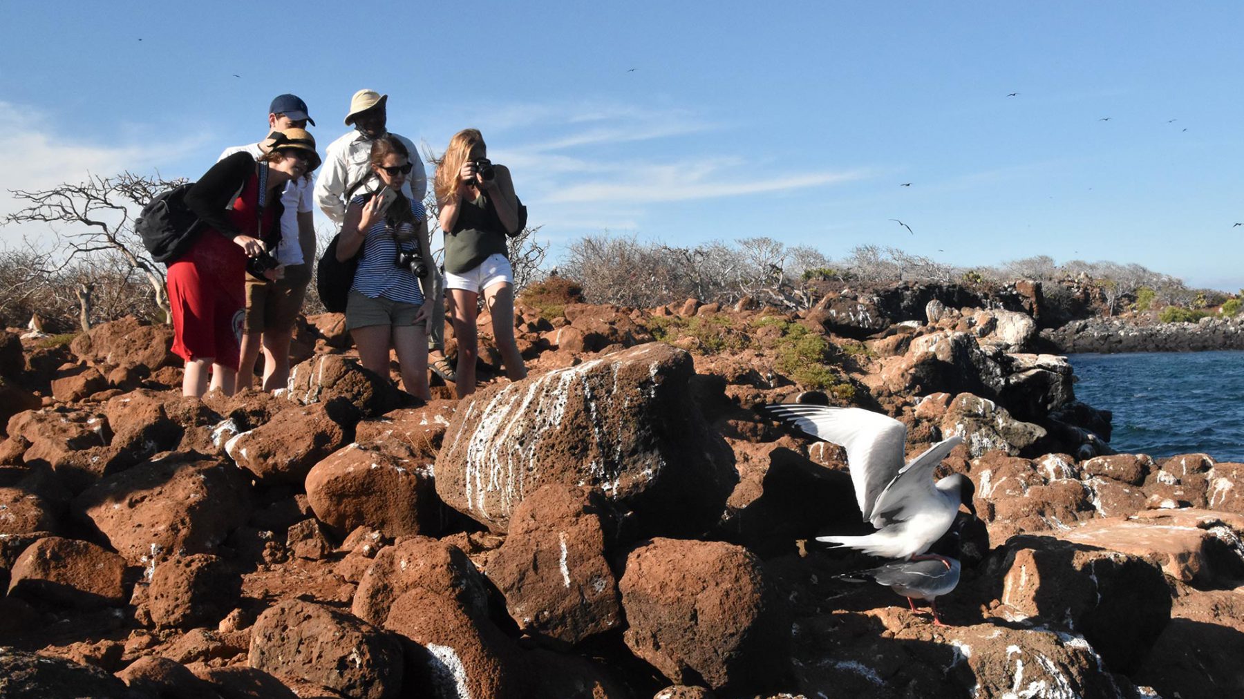 day trip to north seymour island