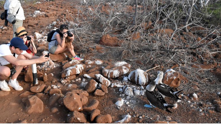 day trip to north seymour island