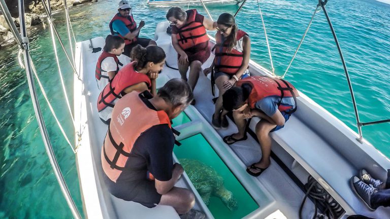 glass bottom boat