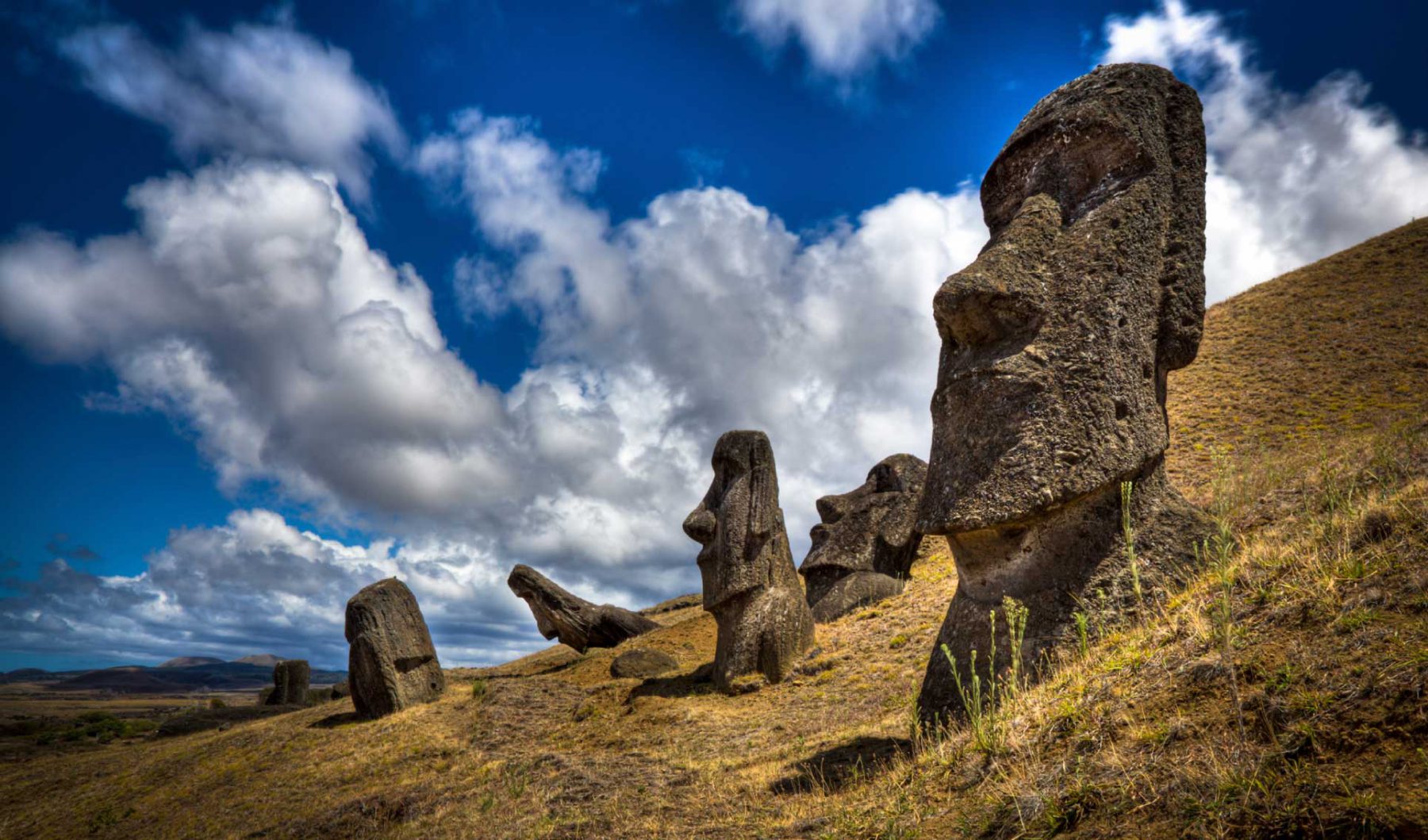 Easter Island Go Galapagos