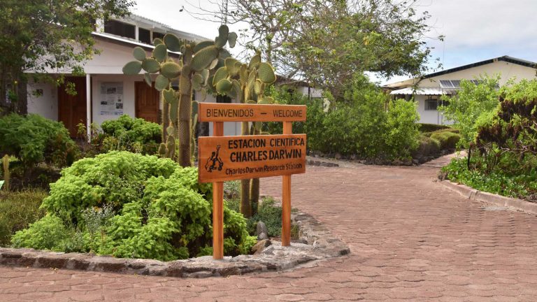 charles darwin station galapagos