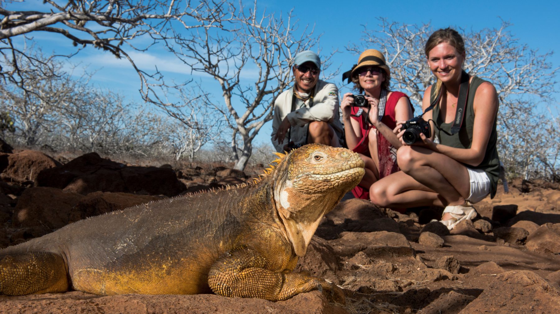 galapagos tour operators